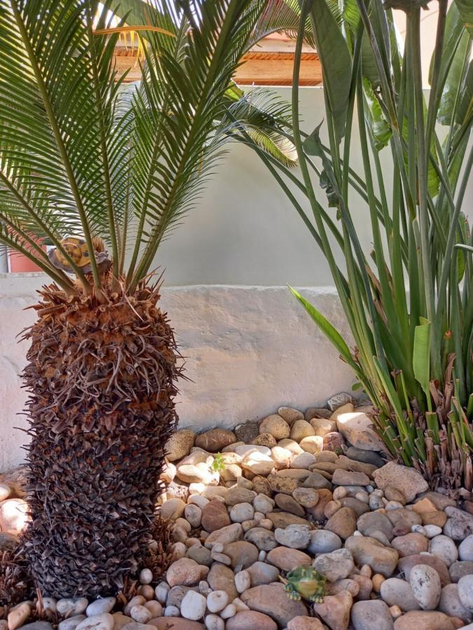 Alexandros Cosy House For Family Vacation Apartamento Chania  Exterior foto