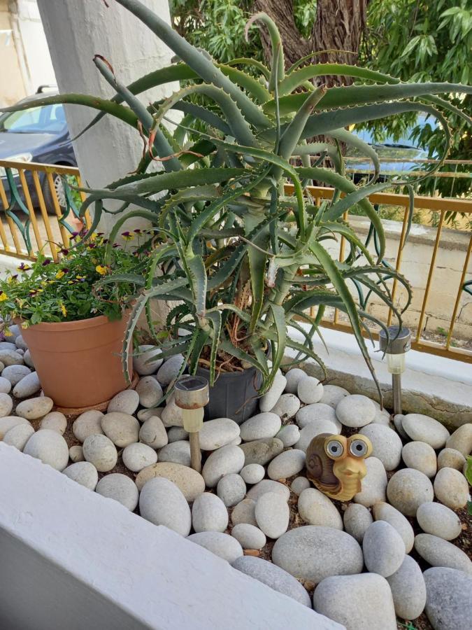 Alexandros Cosy House For Family Vacation Apartamento Chania  Exterior foto